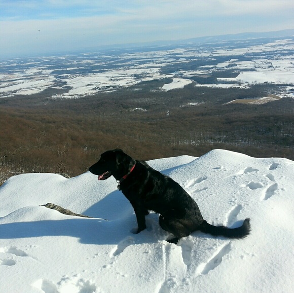 Meet your Posher, Gretchen - Picture 1 of 1